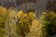 Wildlife At The Oxbow Nature Conservancy 
