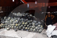 Pumpkin Sales In Local Markets For Dia De Muertos