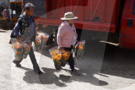 Cempasuchil Sales In Local Markets For Dia De Muertos
