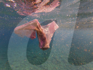 Underwater Plastic Bag Litter