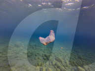 Underwater Plastic Bag Litter