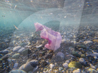 Underwater Plastic Bag Litter
