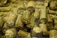 Equita Lyon Trade Show