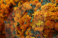 Jamaica Flower Market In Mexico City