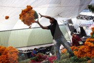 Jamaica Flower Market In Mexico City