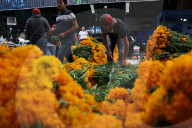 Jamaica Flower Market In Mexico City