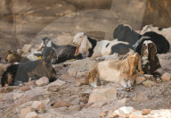 Views Of Petra - Jordan’s Ancient Nabataean City