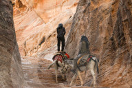 Views Of Petra - Jordan’s Ancient Nabataean City