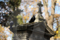 All Saints' Day In Krakow