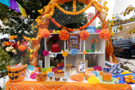 Ice 2025: Illinois Memorial for Villegas Gonzalez