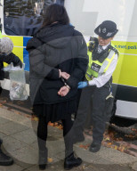 Trans Rights ProtestTransgender activists clash with actual women during protest over UK court ruling