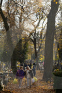 Millions Flock To Cemeteries In Poland For All Saints