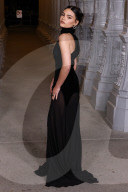 14th Annual LACMA Art + Film Gala 2025