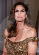 14th Annual LACMA Art + Film Gala 2025