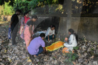 All Souls Day Observation In India