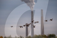 Wildlife At The Oxbow Nature Conservancy 