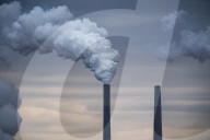 Pollution And Wildlife: Miami Fort Power Station