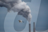 Wildlife At The Oxbow Nature Conservancy 