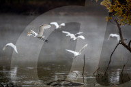 Wildlife At The Oxbow Nature Conservancy 