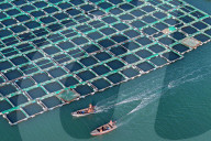 China Gross Marine Product