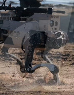 Chinese miltary use robot dogs on amphibious exercise