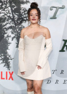 Los Angeles Premiere Of Netflix's 'Train Dreams'