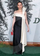 Los Angeles Premiere Of Netflix's 'Train Dreams'