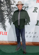 Los Angeles Premiere Of Netflix's 'Train Dreams'