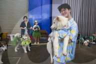 Dogs Take The Spotlight At Garden Party Fashion Show In Tangerang