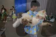 Dogs Take The Spotlight At Garden Party Fashion Show In Tangerang