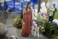 Dogs Take The Spotlight At Garden Party Fashion Show In Tangerang