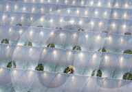Rural Vegetable Greenhouses