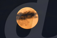 Full Moon of Raas Purnima 