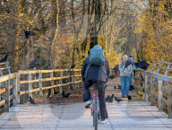 Flock Of Crows And Pedestrians On Wooden Footbridge At Flaucher Area In Munich