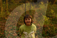 Autumn Season In Kashmir, India