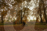 Autumn Season In Kashmir, India