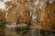 Autumn Season In Kashmir, India