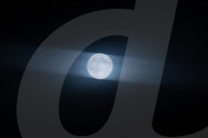 Beaver Moon In Warsaw