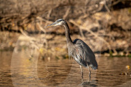 Wildlife At The Oxbow Nature Conservancy 