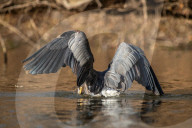 Wildlife At The Oxbow Nature Conservancy 