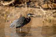 Wildlife At The Oxbow Nature Conservancy 