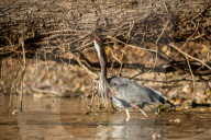 Wildlife At The Oxbow Nature Conservancy 
