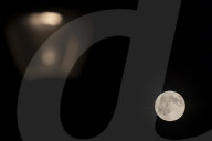 Full Beaver Moon In The Netherlands