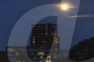 Full Beaver Moon In The Netherlands