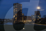 Full Beaver Moon In The Netherlands