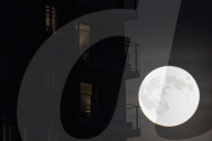 Full Beaver Moon In The Netherlands