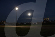 Full Beaver Moon In The Netherlands