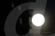 Full Beaver Moon In The Netherlands