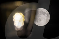 Full Beaver Moon In The Netherlands