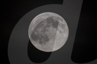 Full Beaver Moon In The Netherlands